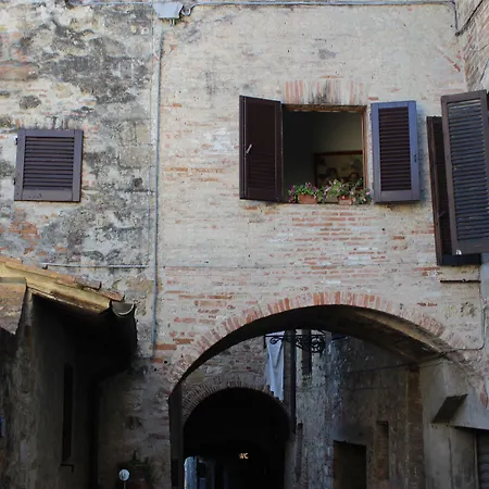 Il Giardino